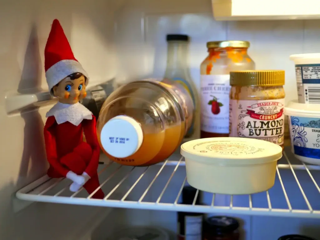 Chilling in the Fridge elf